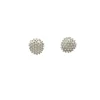 Pendientes Cactus de oro blanco - 0976