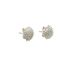 Pendientes Cactus en forma de gota de oro blanco - 0977